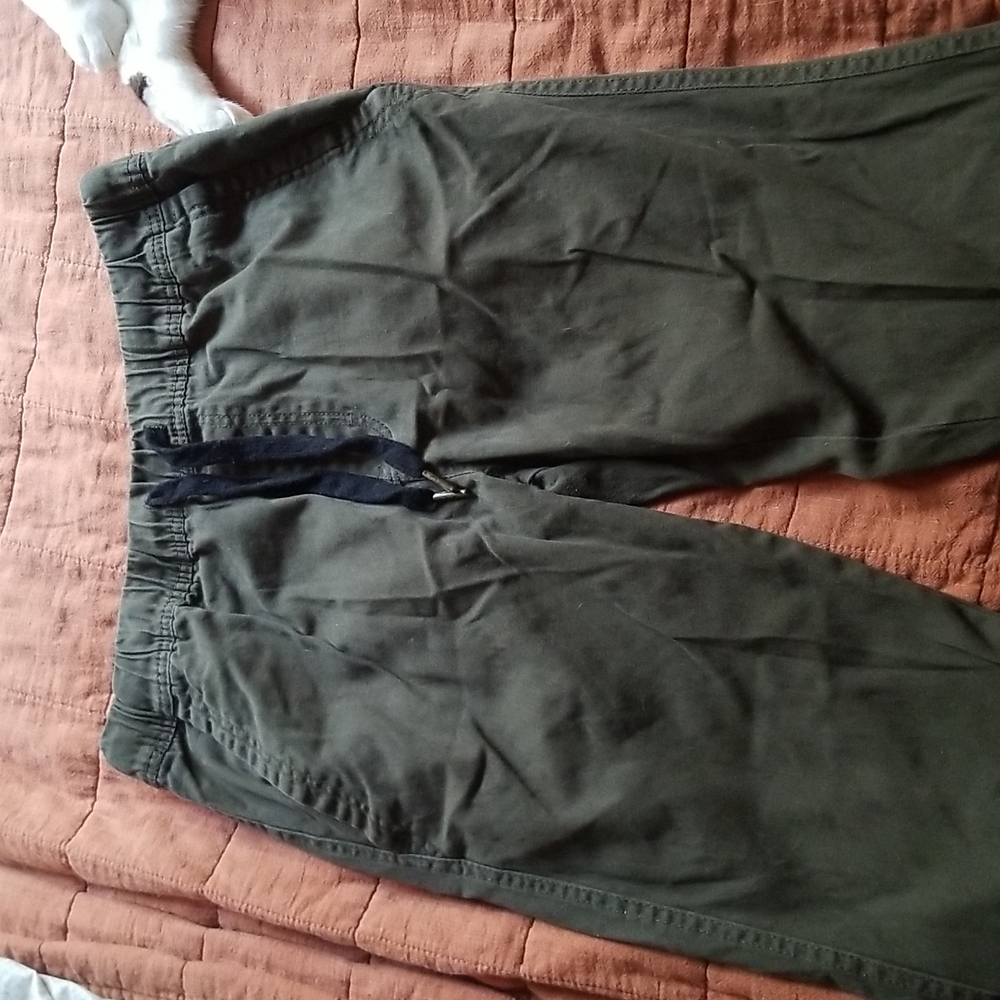Fitted Green Jogger Pants
